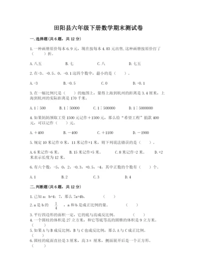 田阳县六年级下册数学期末测试卷及1套参考答案.docx