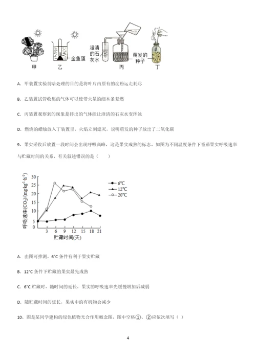 通用版初中生物七年级上册第三单元生物圈中的绿色植物考点突破.docx