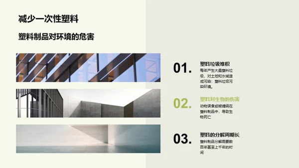 地球保护：人类共同责任