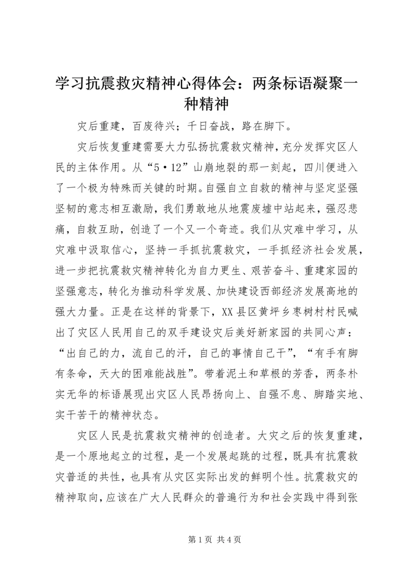 学习抗震救灾精神心得体会：两条标语凝聚一种精神.docx