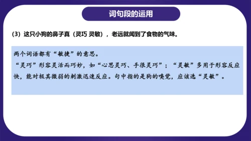 统编版三年级语文下学期期中核心考点集训第一单元（复习课件）