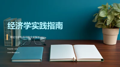 经济学实践指南