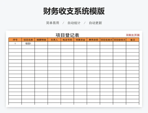 财务收支系统模版