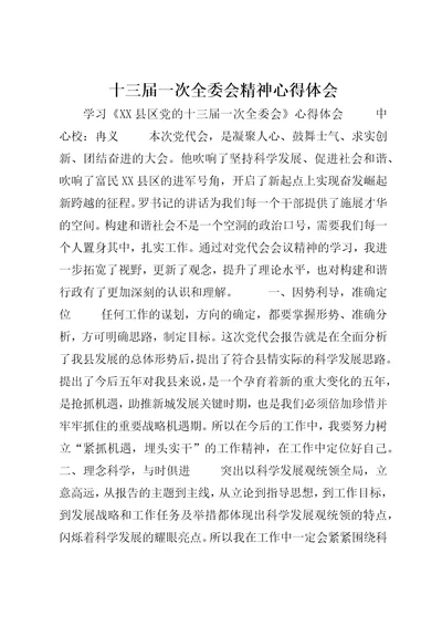 十三届一次全委会精神心得体会