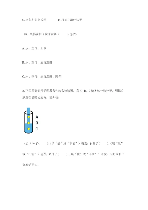 教科版四年级下册科学第一单元《植物的生长变化》测试卷及答案（新）.docx