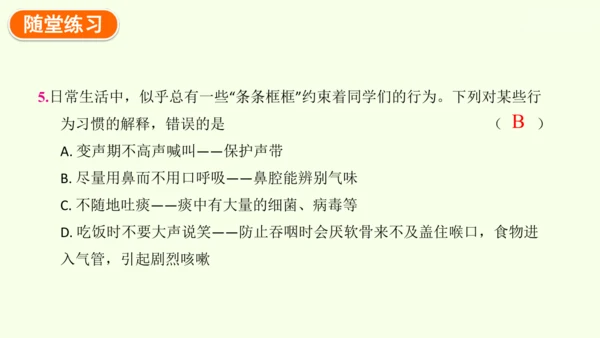 4.3.1 呼吸道对空气的处理-七年级生物下学期同步精品课件（2024人教版）(共26张PPT)