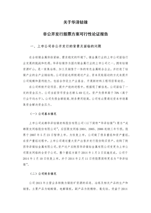 华泽钴镍非公开发行股票方案可行性分析报告.docx
