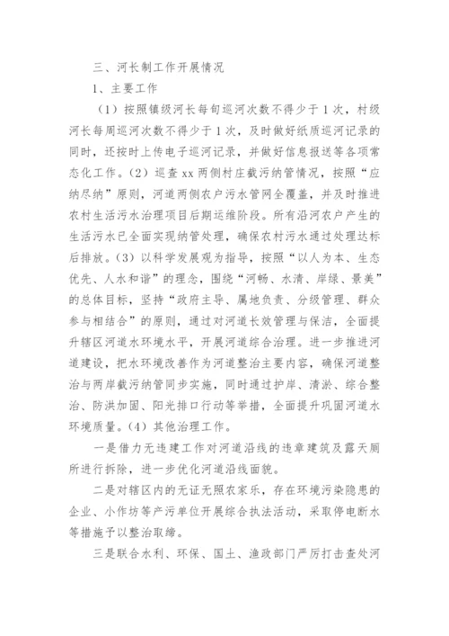 河长制工作述职报告_2.docx