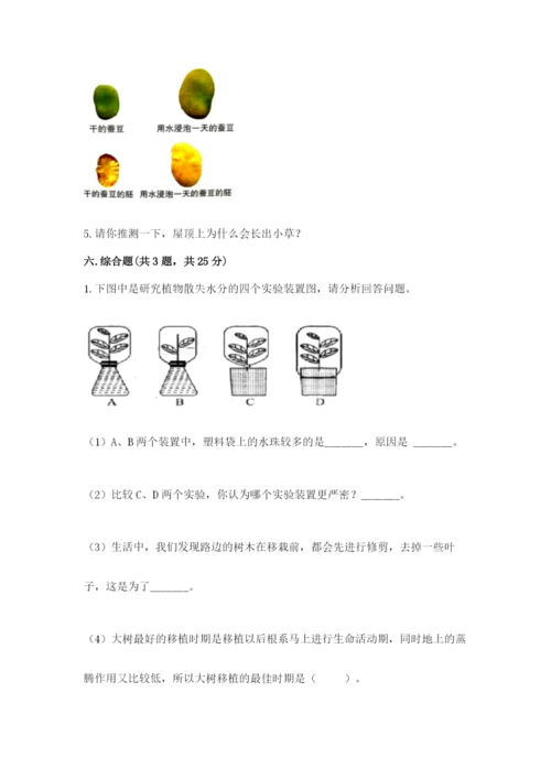 科学四年级下册第一单元《植物的生长变化》测试卷精编.docx