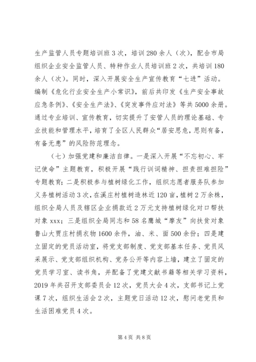 应急管理局工作总结及XX年工作计划.docx