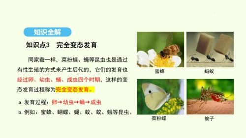 7.1.2昆虫的生殖和发育课件-人教版生物八年级下册(共26张PPT)