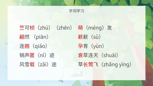 八年级下大自然的语言课件PPT模板