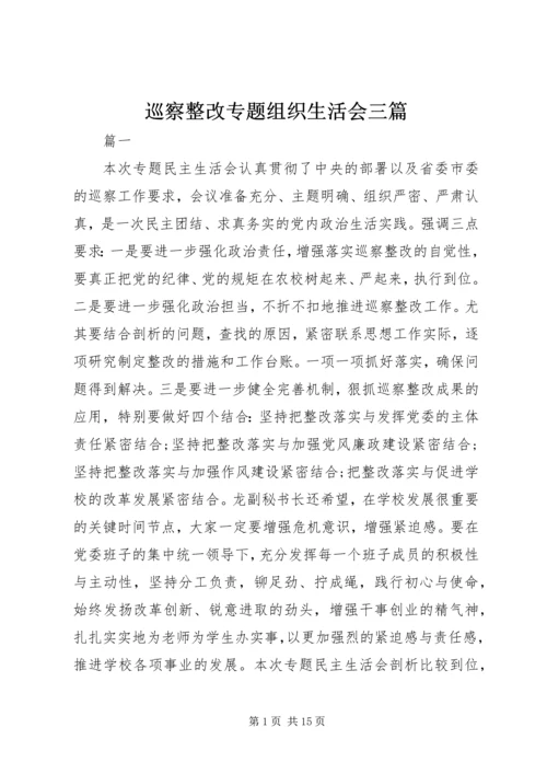 巡察整改专题组织生活会三篇.docx