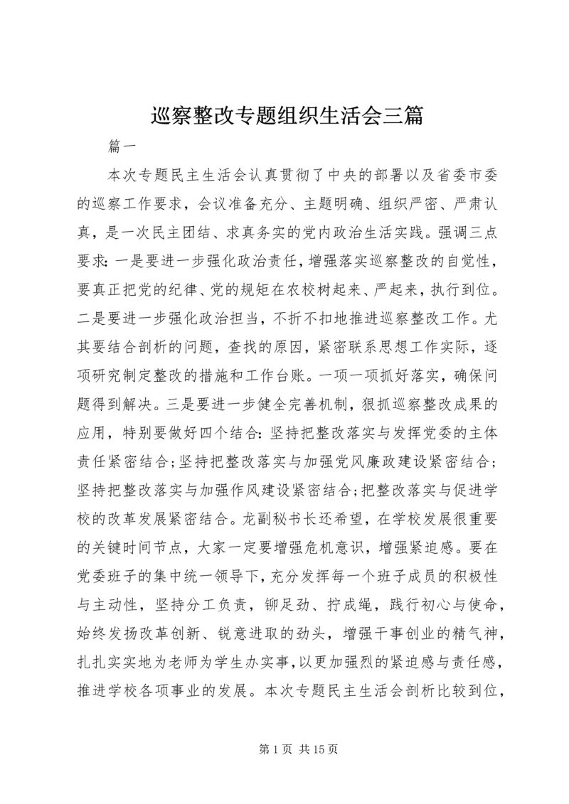 巡察整改专题组织生活会三篇.docx