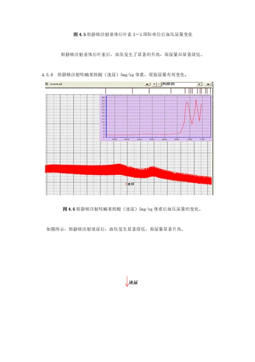 生理实验尿生成的调节