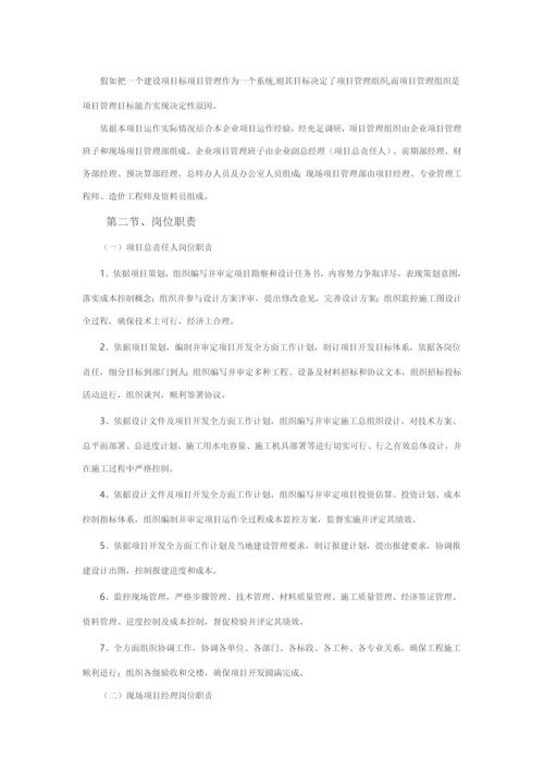 代建综合项目实施专项方案.docx