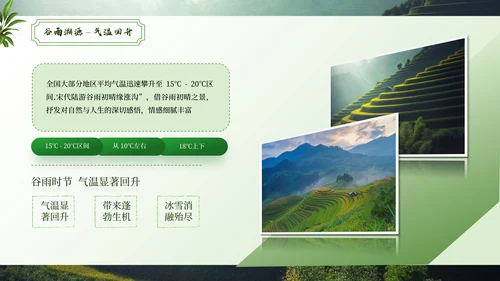 绿色谷雨二十四节气ppt模板