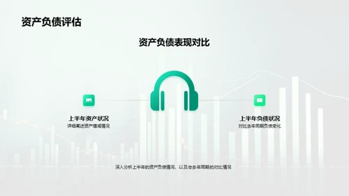 财务健康：分析与规划