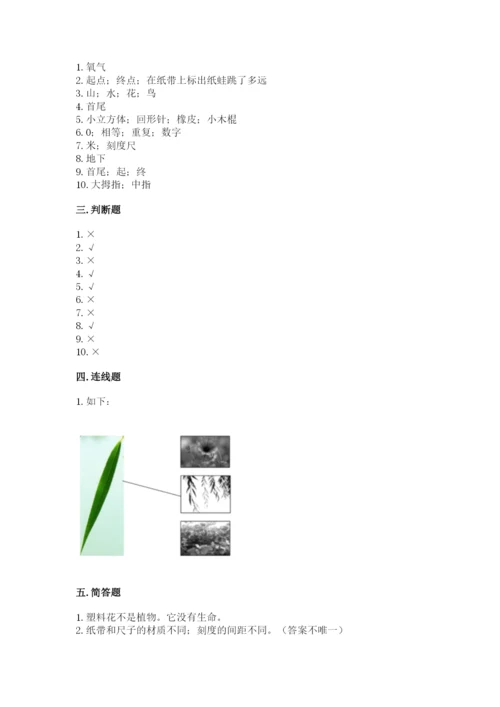 教科版一年级上册科学期末测试卷及参考答案【预热题】.docx