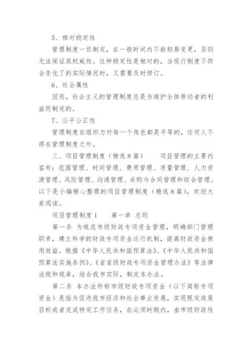 项目管理制度.docx