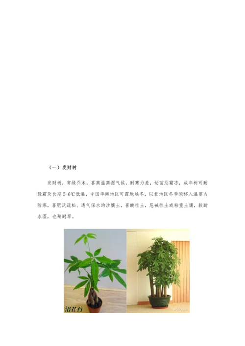 办公室绿植养殖方法及注意关键事项.docx