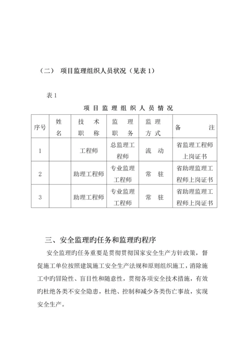 安全监理重点规划及实施标准细则.docx