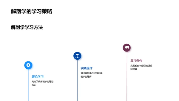 解剖学探索之旅