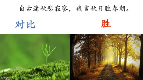 七年级上册 第六单元 课外古诗词《秋词（其一）》课件(共29张PPT)