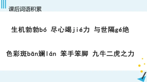 统编版语文二年级下册第七单元复习（课件）