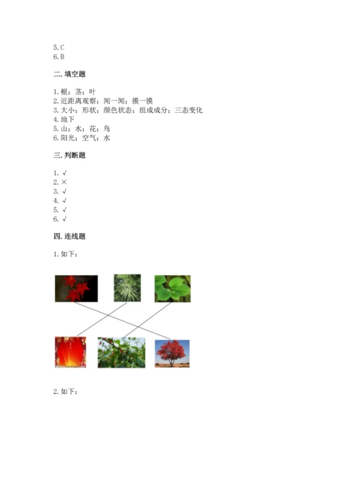 教科版科学一年级上册第一单元《植物》测试卷附参考答案【实用】.docx