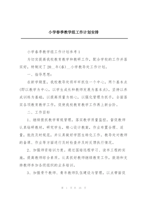小学春季教学组工作计划安排.docx