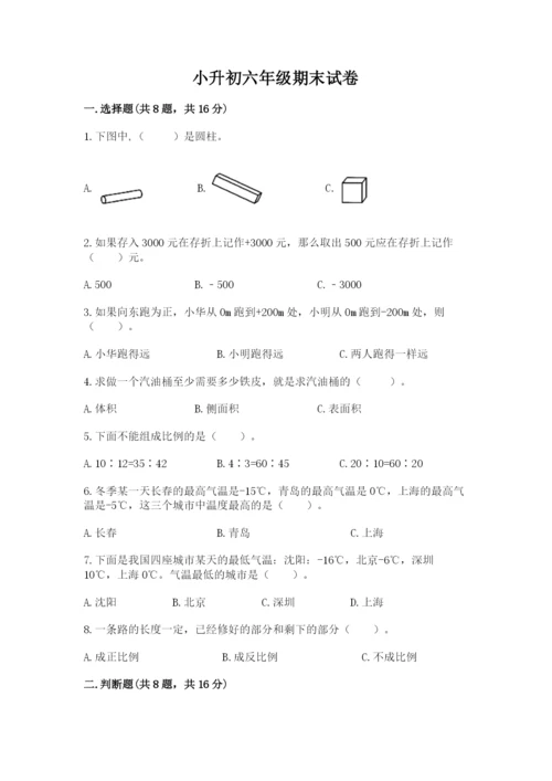 小升初六年级期末试卷（名校卷）word版.docx