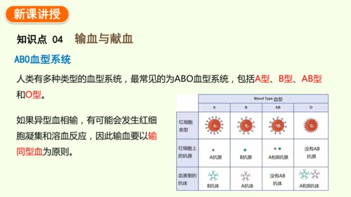 4.4.1流动的组织——血液-七年级生物下学期同步精品课件（2024人教版）(共38张PPT)