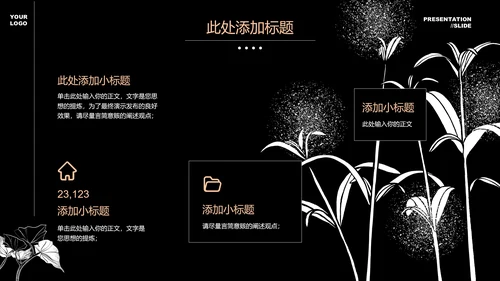 黑白小清新文艺通用PPT演示模板