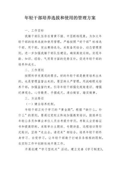 年轻干部培养选拔和使用的管理方案.docx