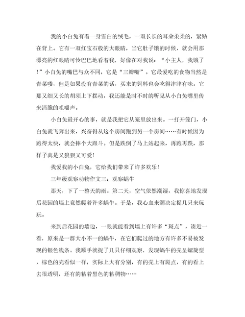 三年级观察动物作文3篇