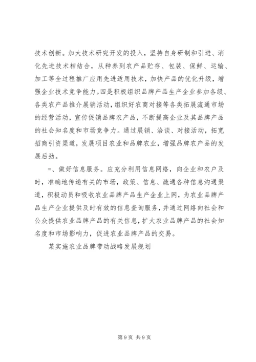 某实施农业品牌带动战略发展规划 (6).docx