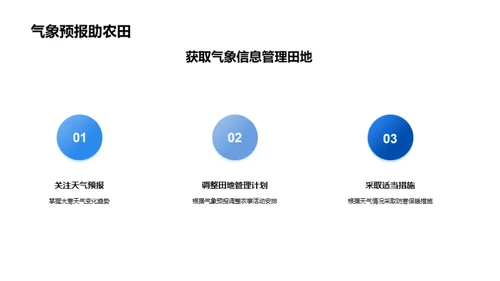 大寒季节农作物防护