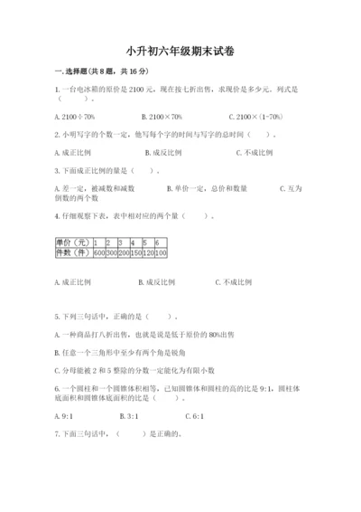 小升初六年级期末试卷精品（巩固）.docx