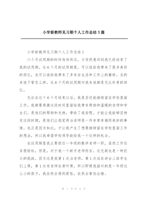 小学新教师见习期个人工作总结5篇.docx