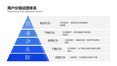 简约风用户分级锥形金字塔5项PPT内容页