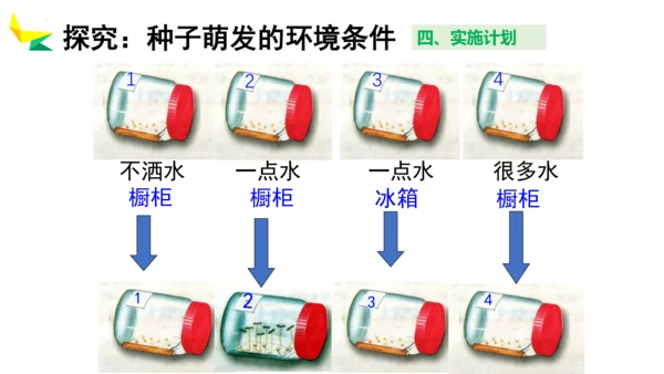 3.2.1 种子的萌发 2023-2024学年七年级生物上册精品教学课件（人教版）(共19张PPT)