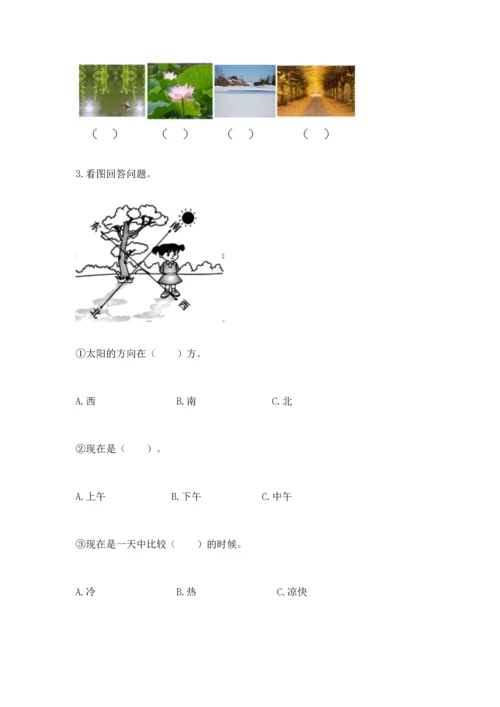 教科版科学二年级上册《期末测试卷》精品（b卷）.docx