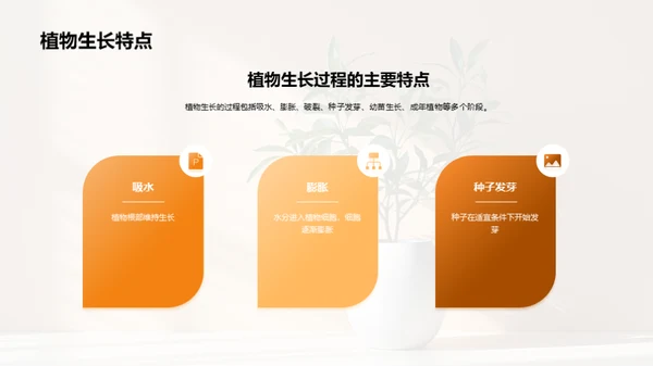 揭秘植物生长奇观