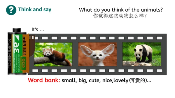Unit 3 Amazing animals Part B Let's talk（优课）课件（21张