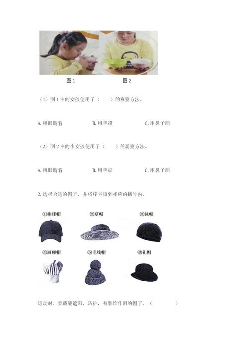教科版小学二年级上册科学期末测试卷含完整答案（网校专用）.docx
