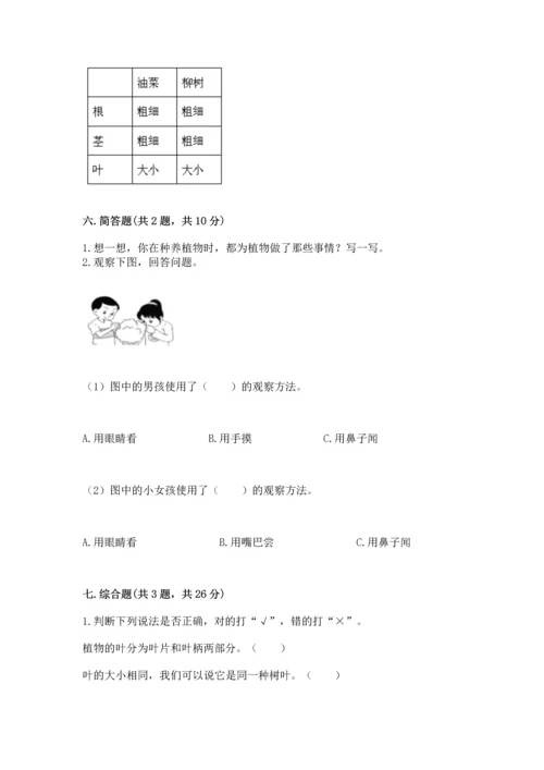 教科版科学一年级上册第一单元《植物》测试卷及参考答案【综合题】.docx