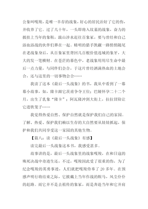读最后一头战象有感600字.docx