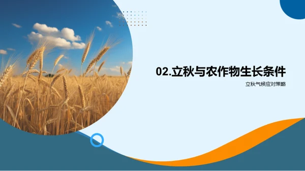 立秋节气农业策略