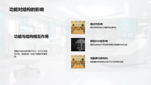 探索细胞之谜